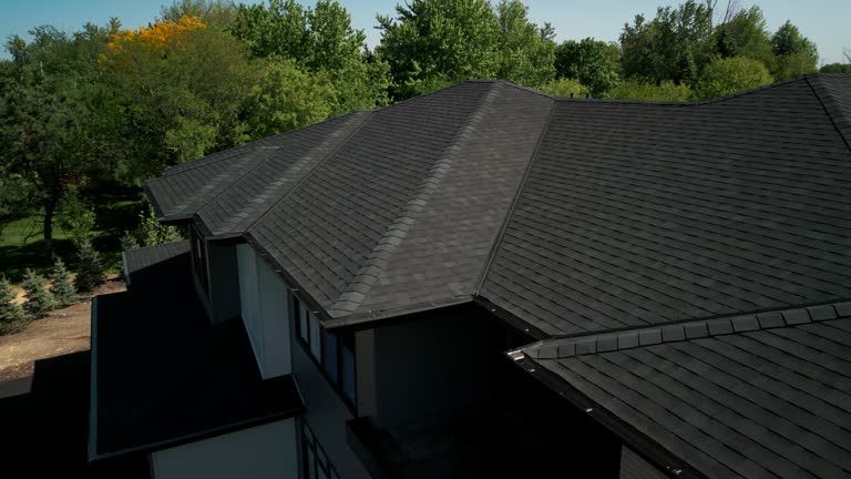 Best Solar Panel Roofing Installation  in USA